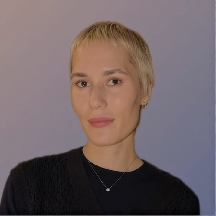 Vlada